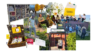 Grounding in Saltwells Sensory Gardens - 260713 April Grounding.png
